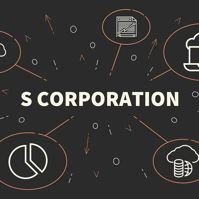 s corporation